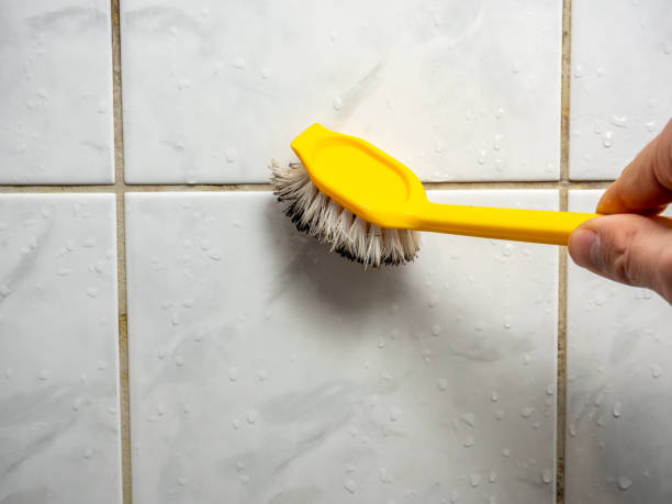 Best Fast Mold Removal  in Fort Irwin, CA